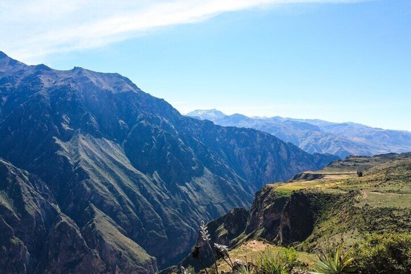 Colca Canyon Full Day