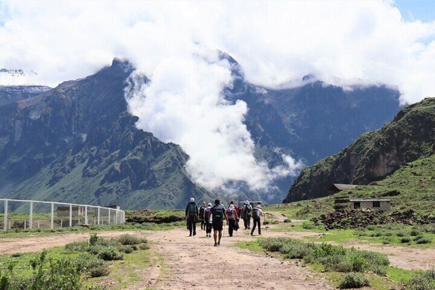 Full Day Colca Canyon