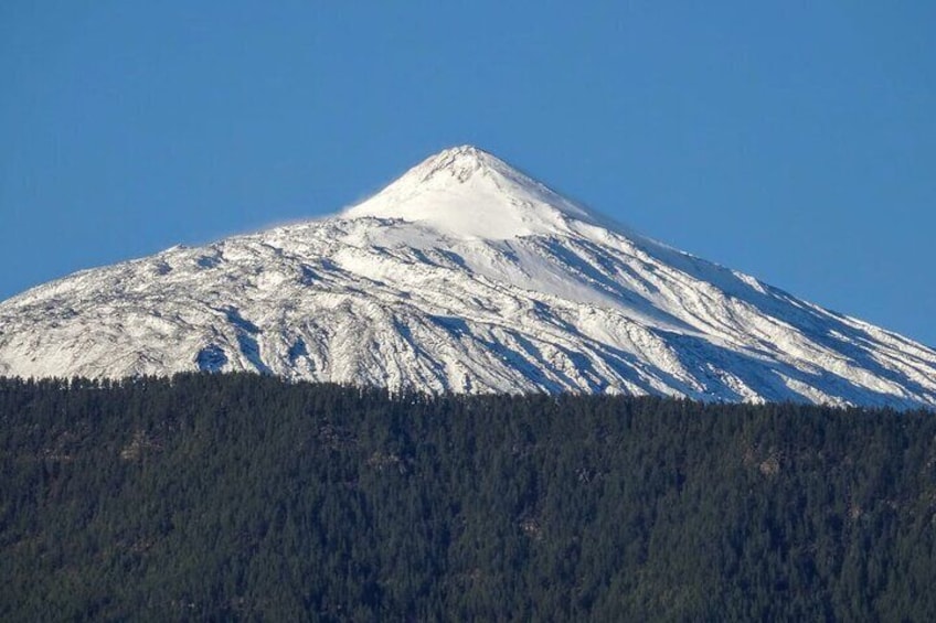 Time Travel Between Volcanoes in Tenerife