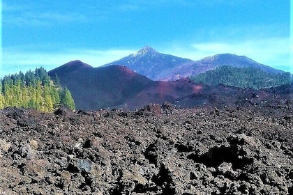 Time travel between volcanoes Trevejo and Chinyero in Tenerife