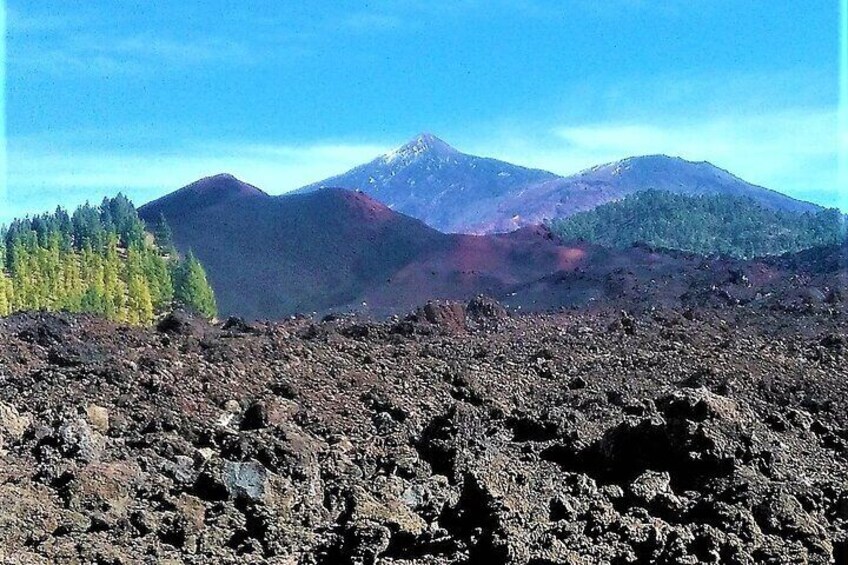 The eruption of the Chinyero volcano is the last one to take place on the island of Tenerife. This eruptive event began on November 18, 1909. It is a monogenic volcano of 1,561 meters of altitude.