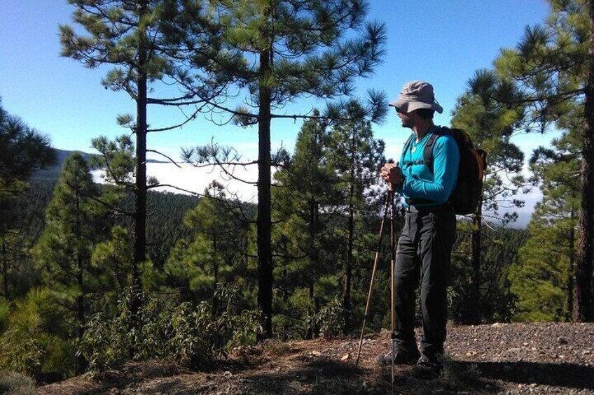 Time Travel Between Volcanoes in Tenerife