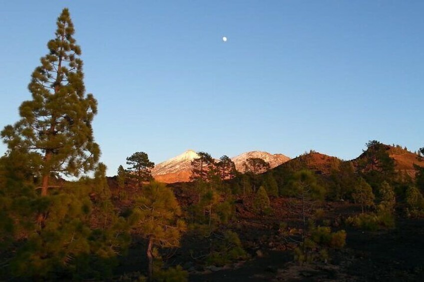 Time Travel Between Volcanoes in Tenerife