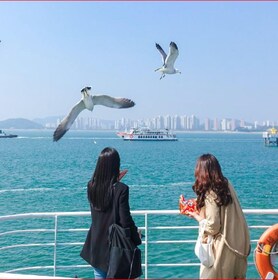 Seoul: Coastal Rail Bike, Sorae Park and Fairytale Village