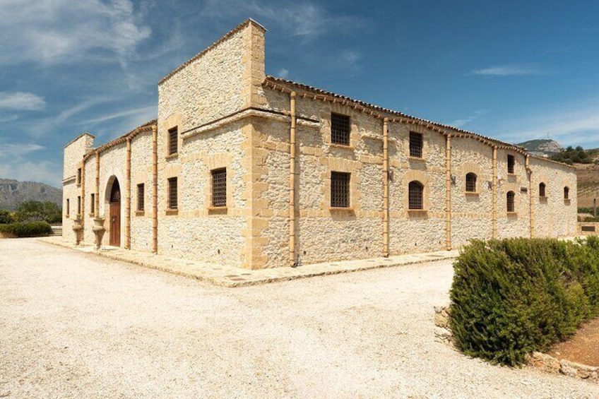 Walk in olive grove and Tasting