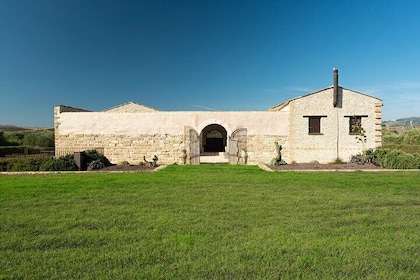 Walk in the olive grove and tasting