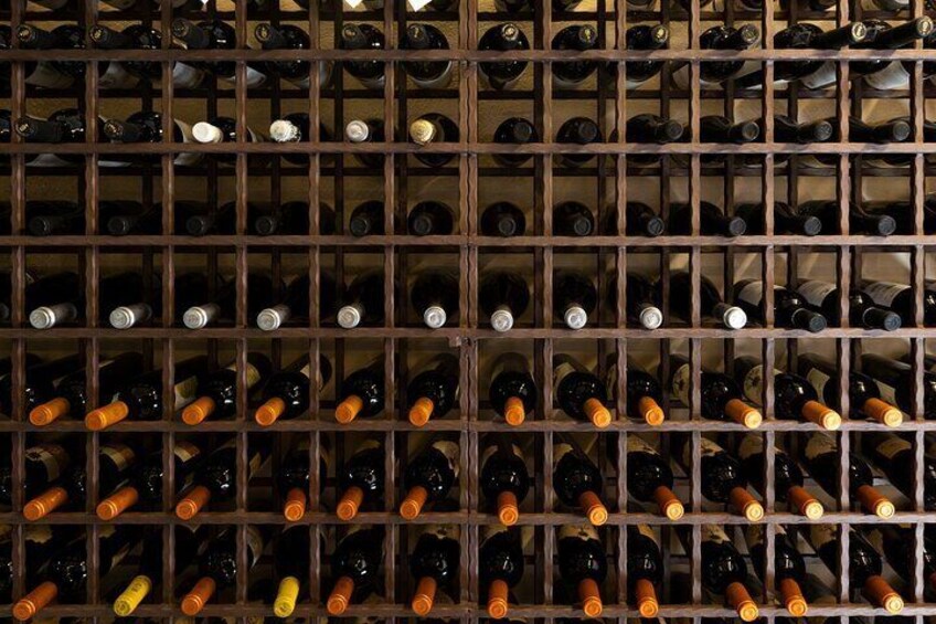 Walk in olive grove and Tasting
