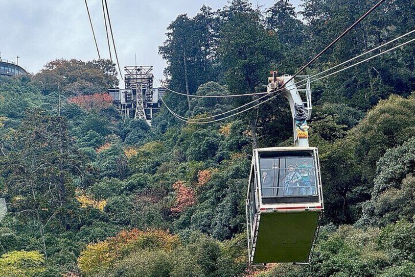 Gifu Half Day Private Tour Castle, Great Buddha and Old Town