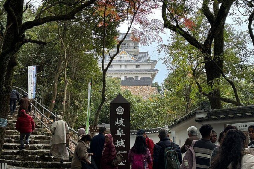 Gifu Half Day Private Tour Castle, Great Buddha and Old Town