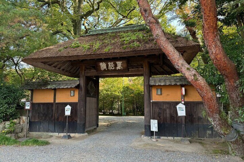 Gifu Half Day Private Tour Castle, Great Buddha and Old Town