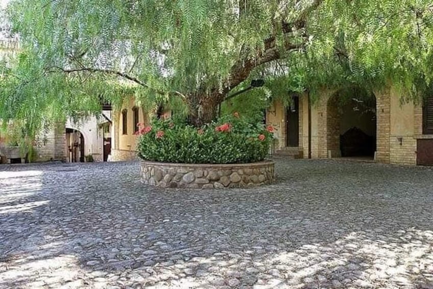 Cooking Class in a Historic Farmhouse