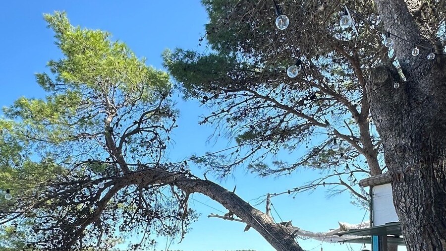 Picture 9 for Activity Zadar: Private Speedboat Trip to Hidden Adriatic Gems