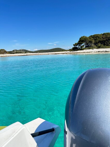 Picture 13 for Activity Zadar: Private Speedboat Trip to Hidden Adriatic Gems