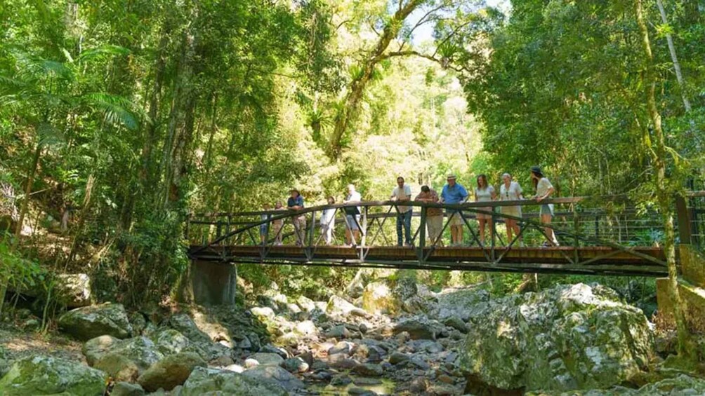 Picture 4 for Activity From Brisbane: Gold Coast Day Tour with Lunch