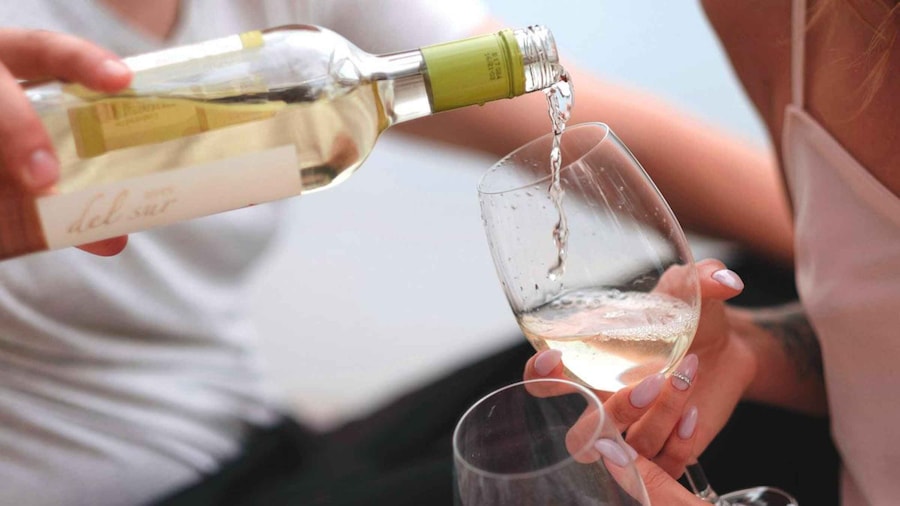 Picture 8 for Activity Trani Wine Tours: Flavors of Puglia