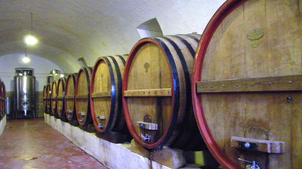 Picture 19 for Activity Trani Wine Tours: Flavors of Puglia