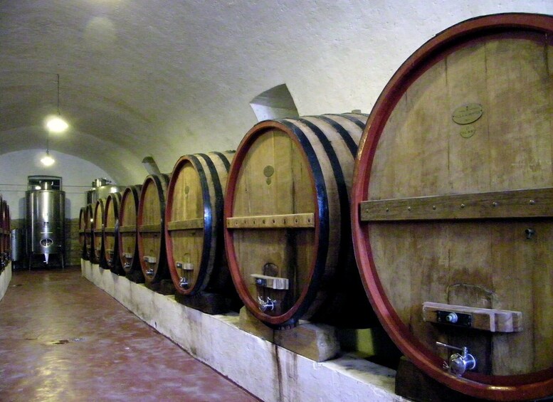 Picture 3 for Activity Trani Wine Tours: Flavors of Puglia