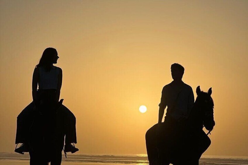 Magical Horseback Rides in Essaouira