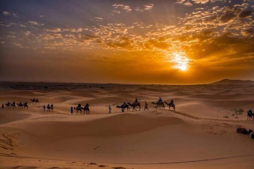 Magical Horseback & Camel Rides in Essaouira