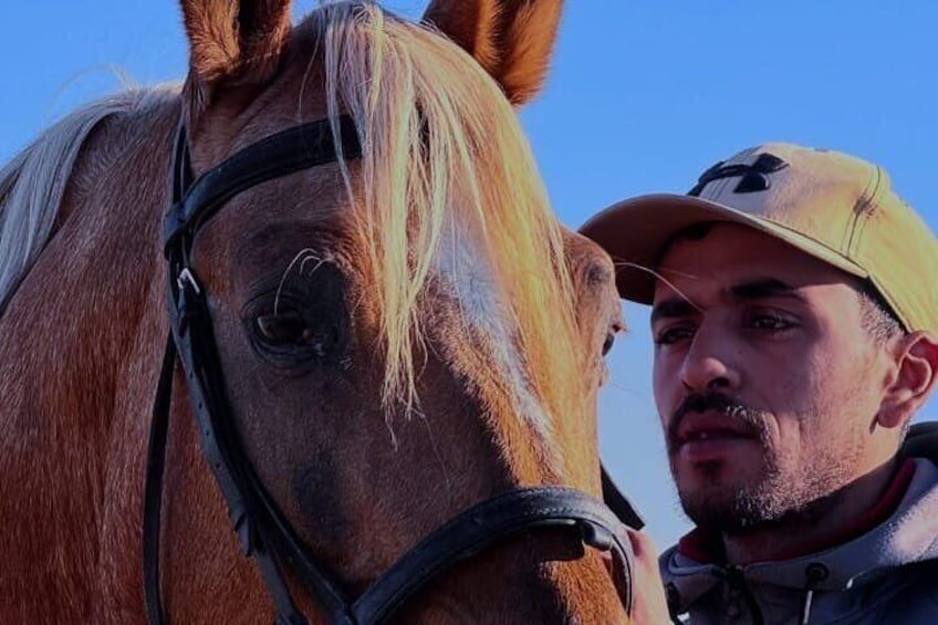 Transformative Horseback Ride Tour through the Soul of Essaouira