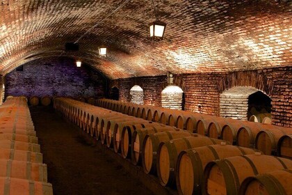 Half Day Concha y Toro Wine Tour and premium Lunch at the winery
