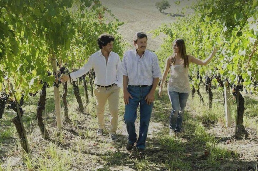 Vicari Vini