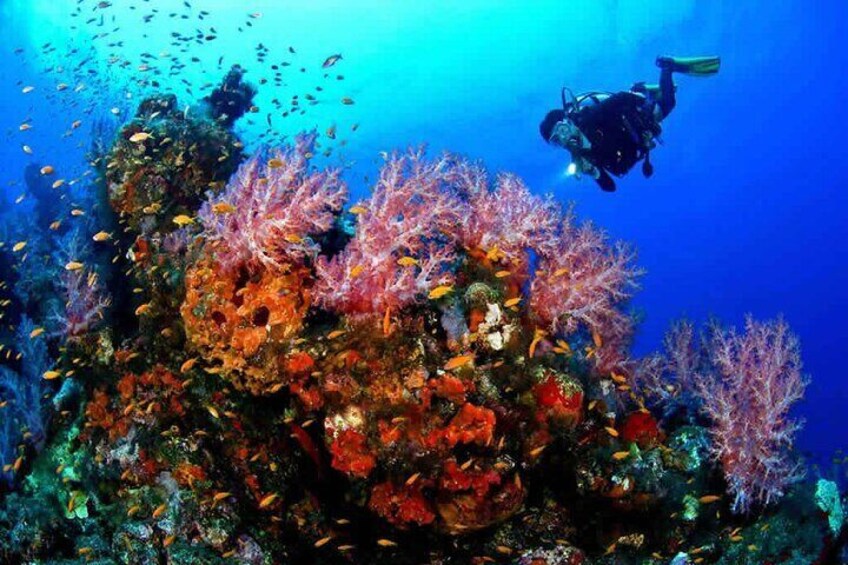 Private Musandam Trip From Dubai