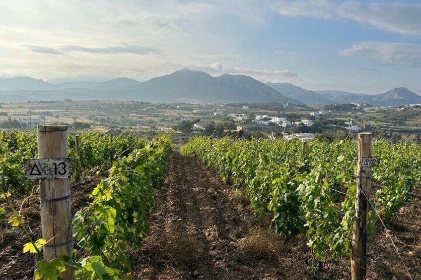 Essence of Naxos