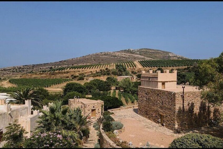 Essence of Naxos