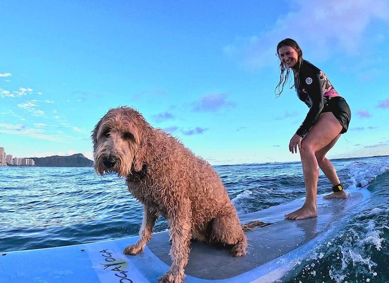 Picture 13 for Activity Oahu: Your Private Group Surf Lesson in Waikiki