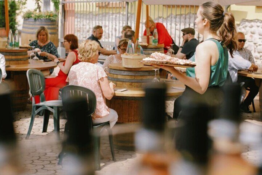 The Soul of the Territory in 5 Wines and Winery Tour in Valeggio