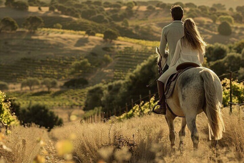 Vineyard Horseback Riding with Tapas Picnic From Barcelona