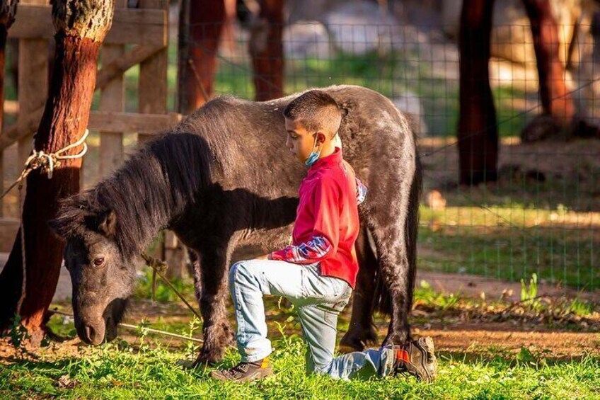 Arzana Visit to a Farm with Tasting