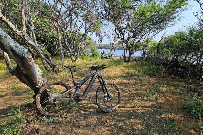 E-Mountain Bike Adventure Tour in Naalehu Hawaii