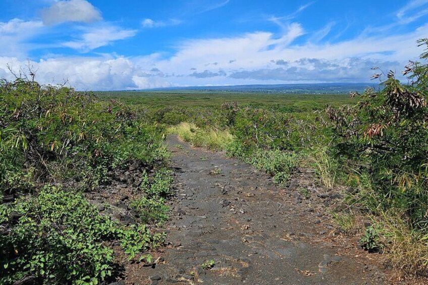 E-Mountain Bike Adventure Tour in Naalehu Hawaii