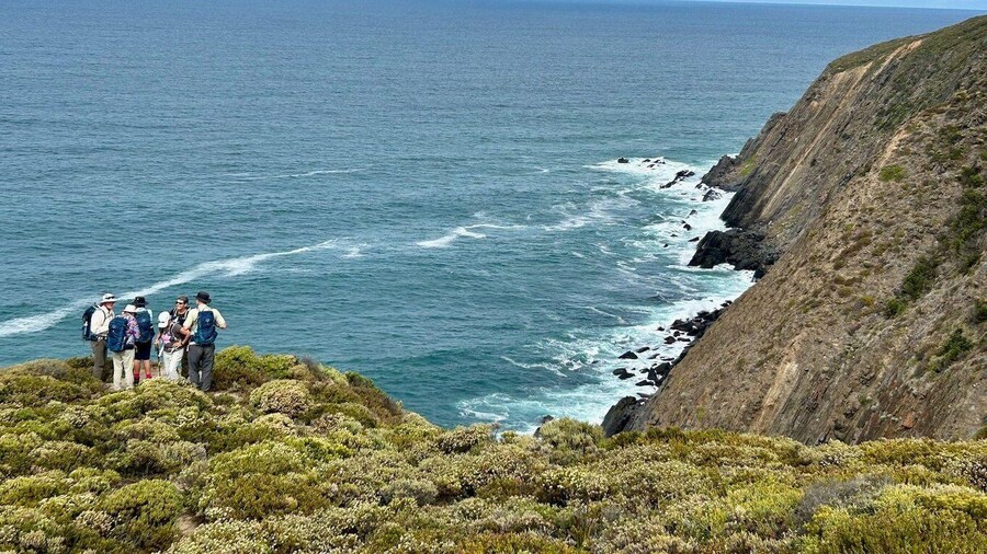 Southern Ocean Walk: 4-Day Guided Fleurieu Peninsula walk