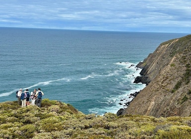 Southern Ocean Walk: 4-Day Guided Fleurieu Peninsula walk