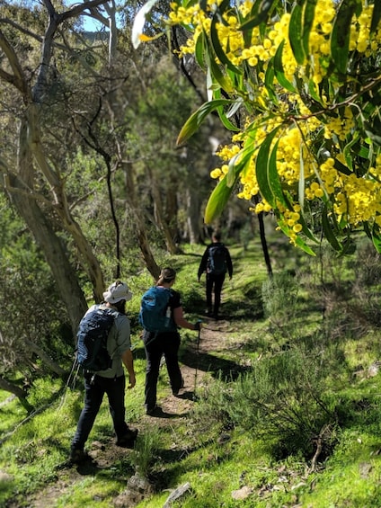 Picture 6 for Activity Southern Ocean Walk: 4-Day Guided Fleurieu Peninsula walk