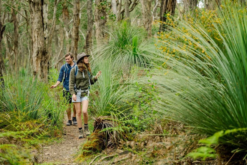 Picture 2 for Activity Southern Ocean Walk: 4-Day Guided Fleurieu Peninsula walk