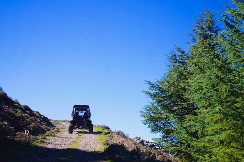 Buggy Tour on Gennargentu From Aritzo