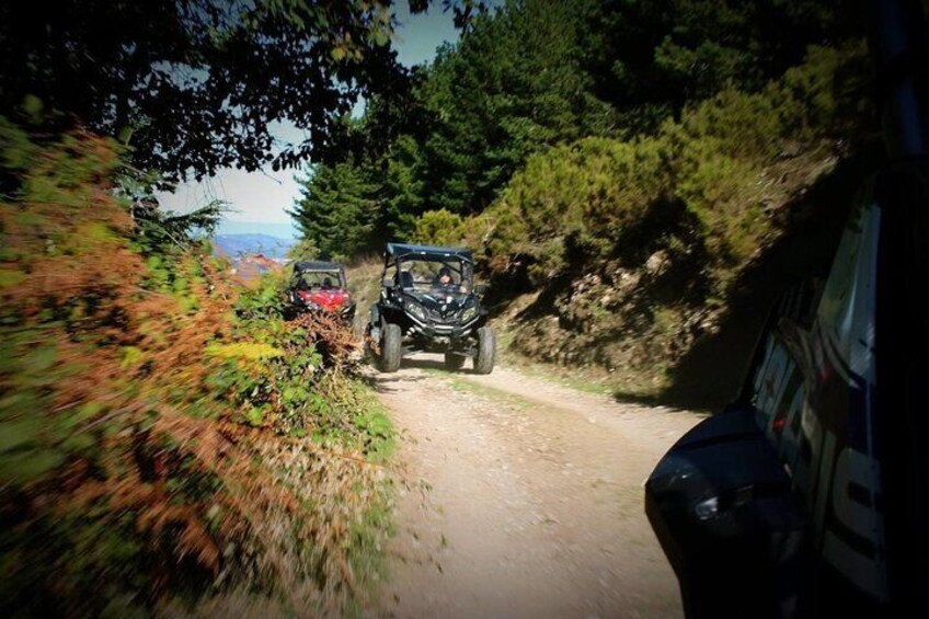 Buggy Tour on Gennargentu From Aritzo