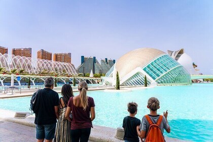 Private Valencia Full-Day Tour - Highlights, Museums & Paella