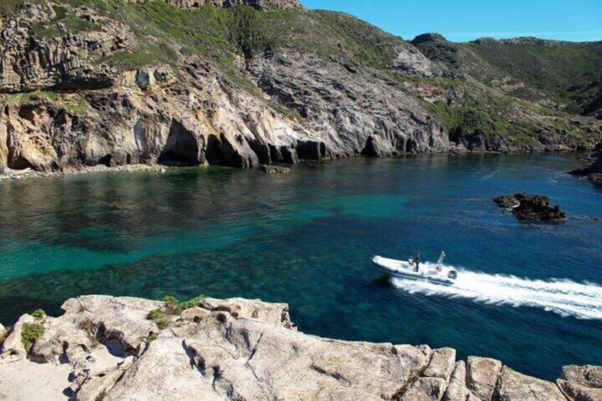 RIB Tour from Sant'Antioco: Carloforte to Masua