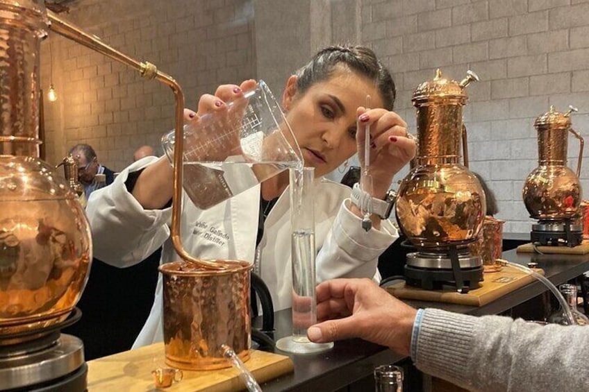 Purification Distilled Your Craft Gin from Scratch at CDMX