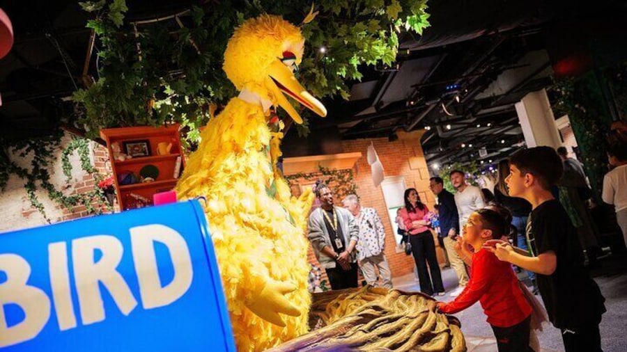 American Dream Sesame Street Learn + Play Ticket