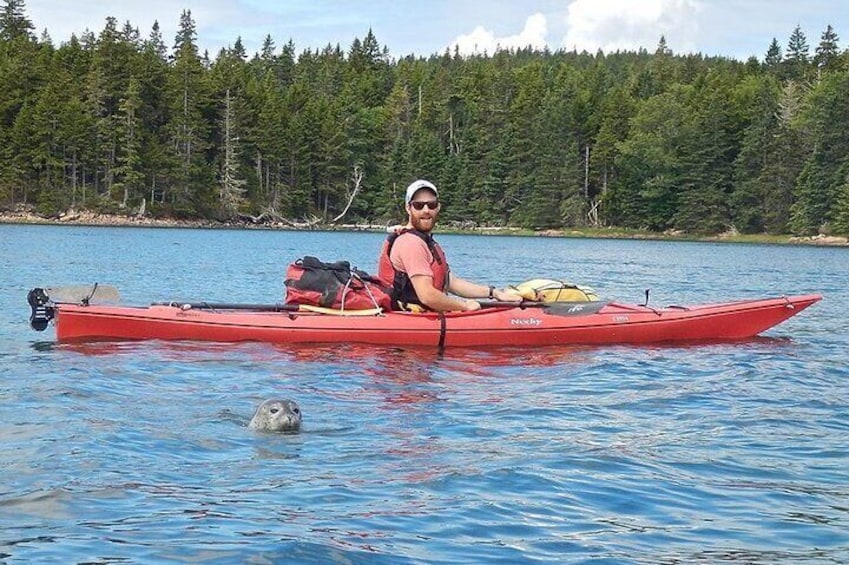 Aqua Safari Kayak tour departing Southwest Harbor