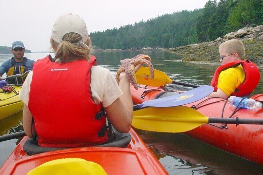 Aqua Safari Kayak tour departing Southwest Harbor