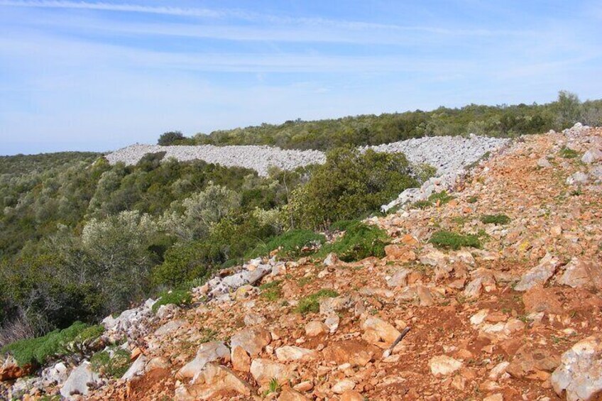 Guided Tour to the Geological Monument of Rocha da Pena