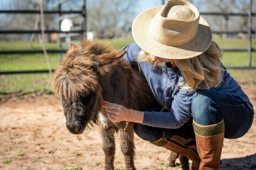 Farm Day Pass General Admission