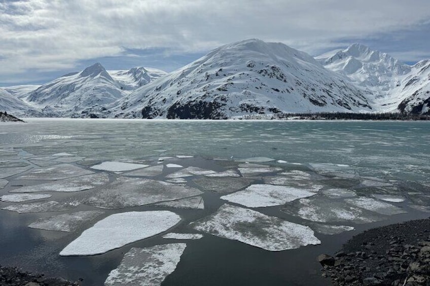 Turnagain Arm Winter Scenic Tour